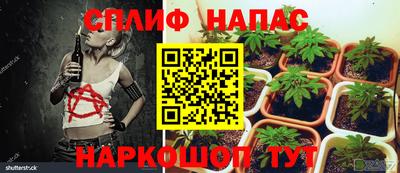 экстази Краснодар