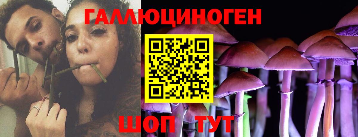 Видное  Галлюциногенные грибы Cubensis  Вход с VPN 